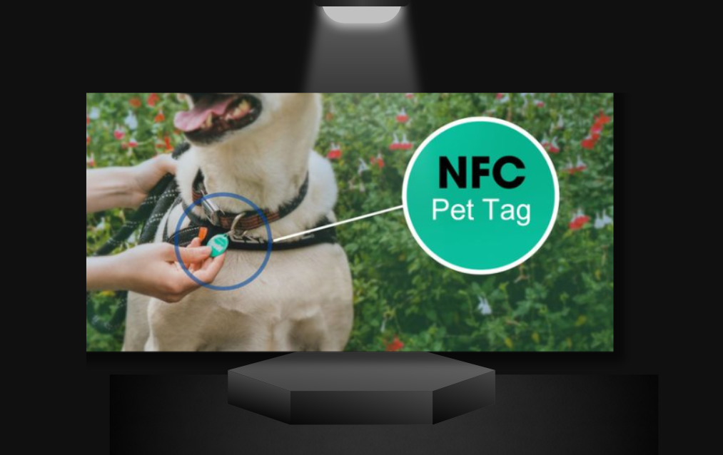 NFC Pet Tag