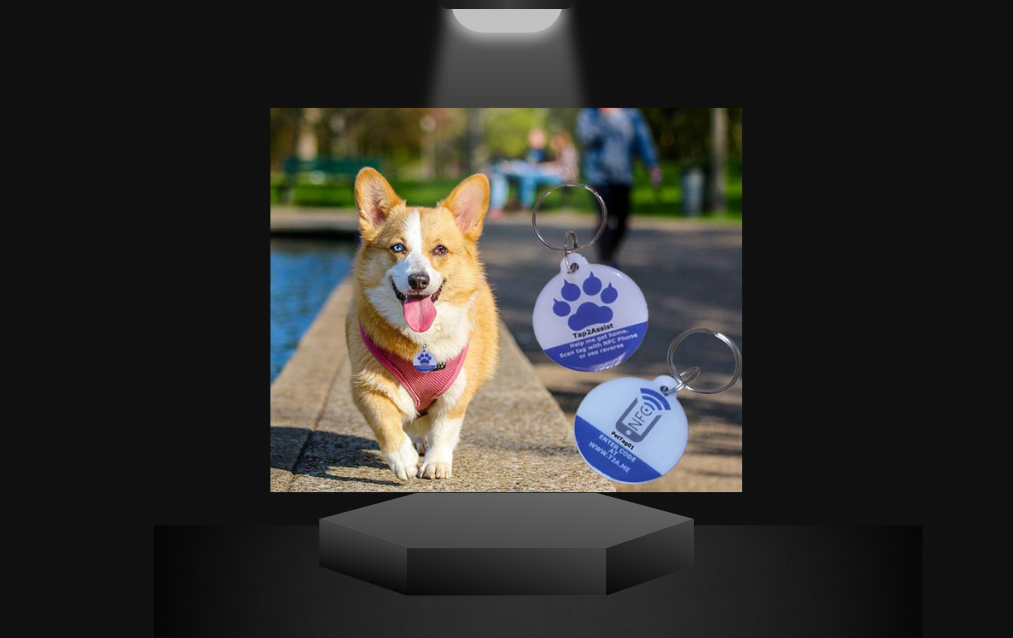 NFC Pet Tag